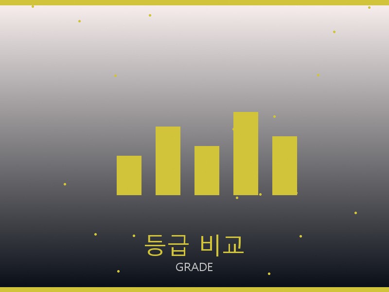 폴로 스콰이어 이스트웨스트 S급 등급 기준 비교
